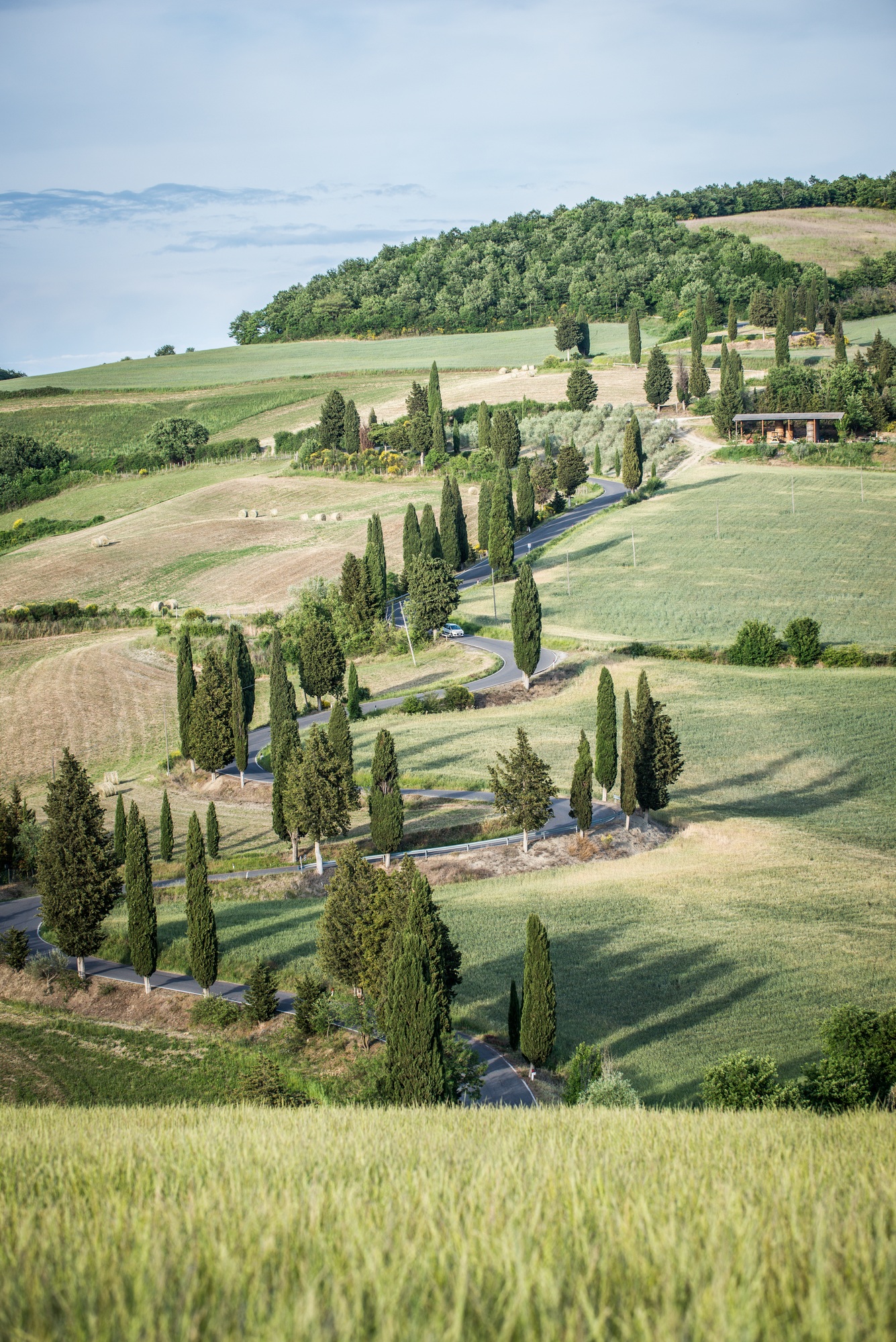 Okami Capital Management - Investment Growth